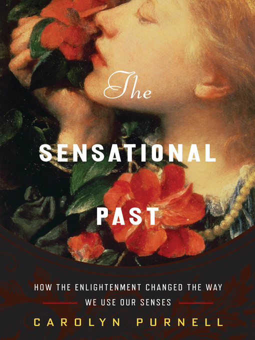 Cover image for The Sensational Past